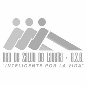 Logo REDSL